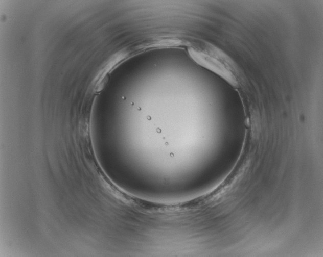 X0000070181193200606021025