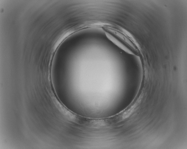 X0000070181194200606021025