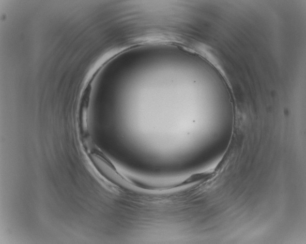 X0000070181195200606021024