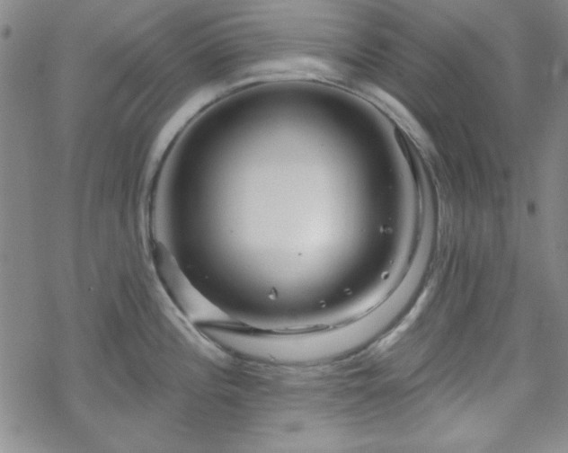 X0000070181196200606021024