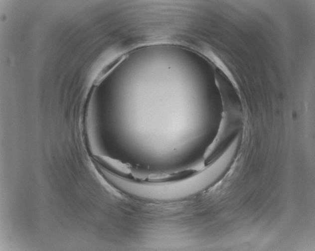 X0000070181197200606021024