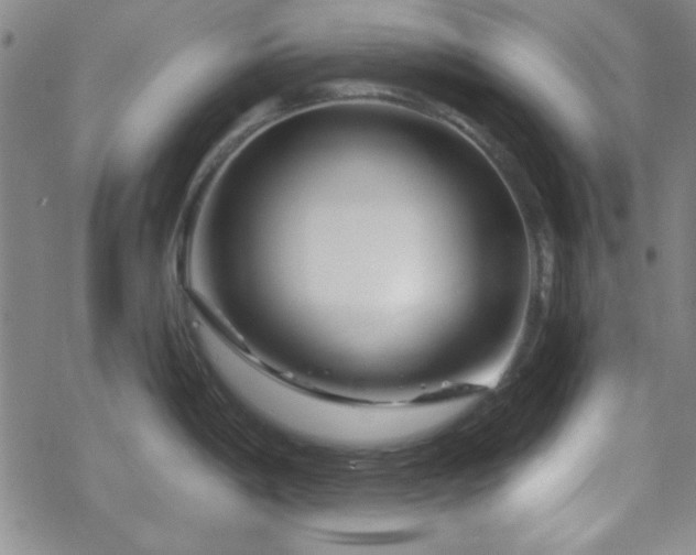 X0000070181198200606021024