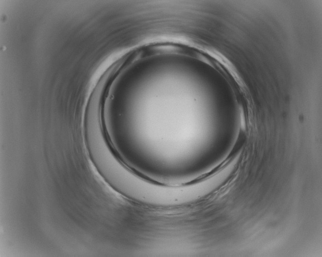 X0000070181199200606021024