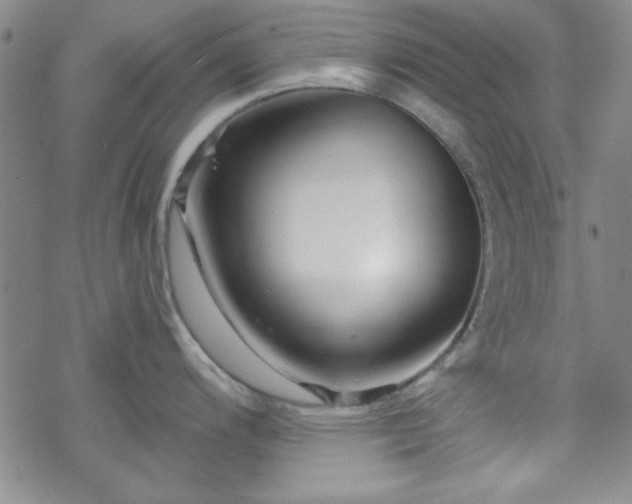 X0000070181200200606021024