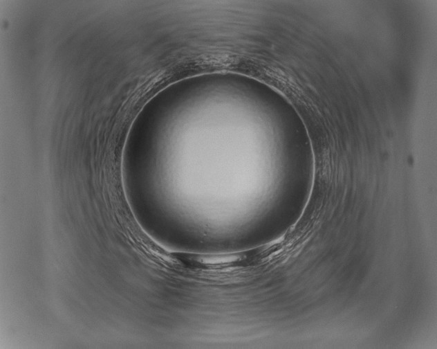 X0000070181201200606021024