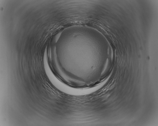 X0000070181202200606021024