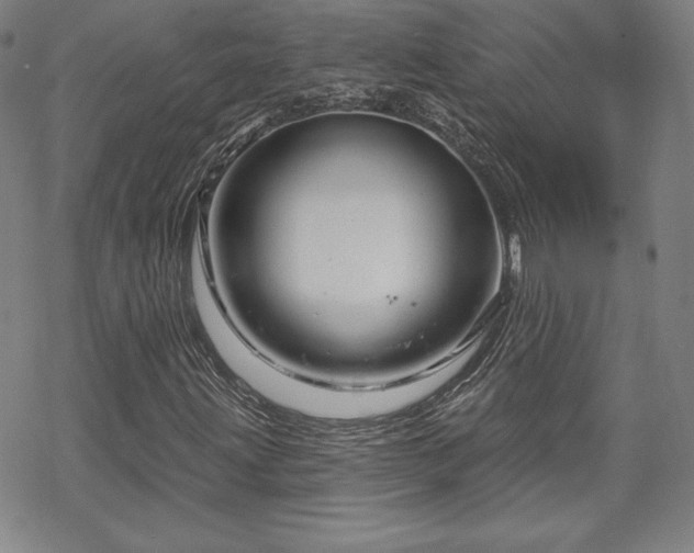 X0000070181203200606021024