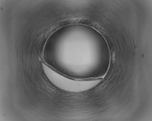 X0000070181204200606021024