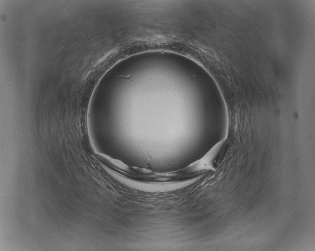 X0000070181205200606021024