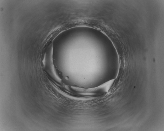 X0000070181206200606021024