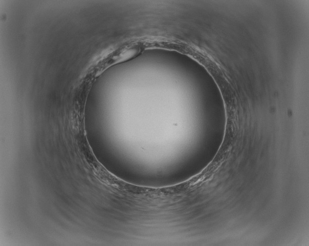 X0000070181207200606021024