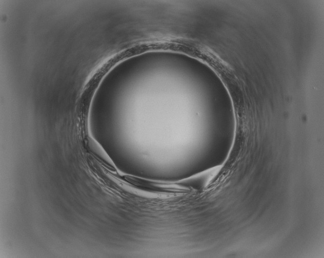 X0000070181208200606021024