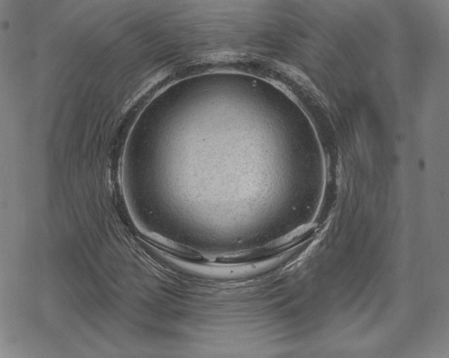 X0000070181209200606021024