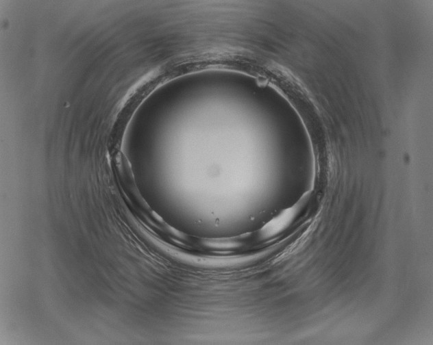 X0000070181210200606021024