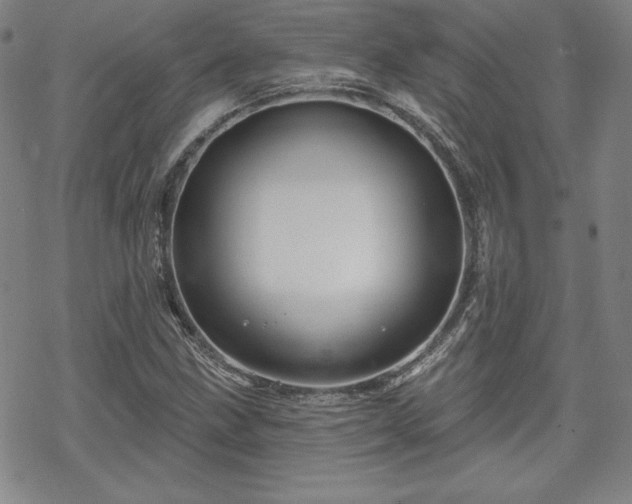 X0000070181211200606021024