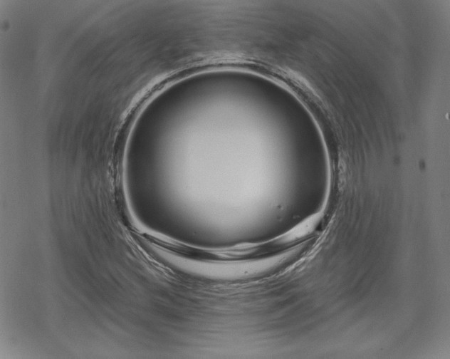 X0000070181212200606021024