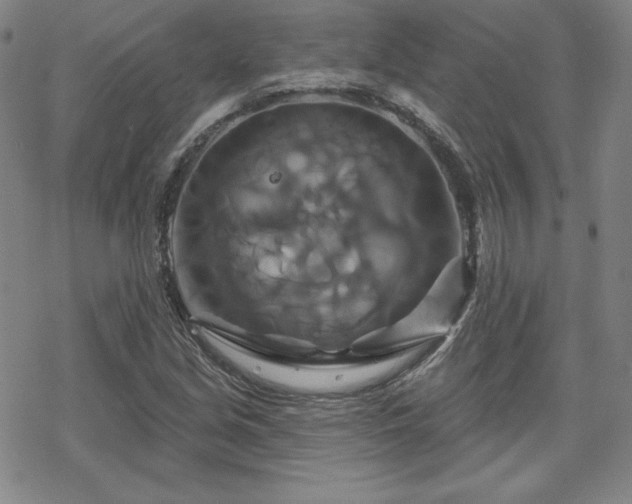 X0000070181213200606021024