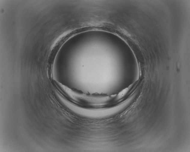 X0000070181214200606021024