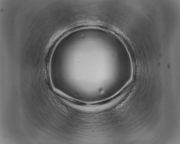 X0000070181215200606021024