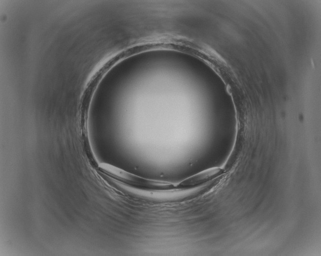 X0000070181216200606021024