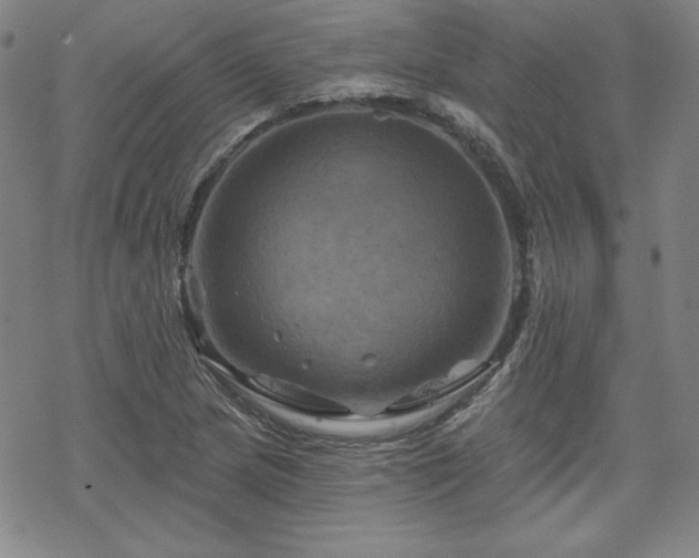 X0000070181217200606021024