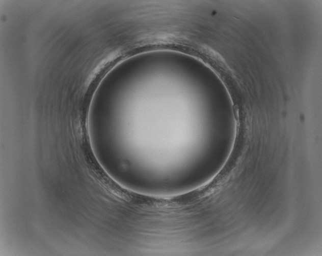 X0000070181218200606021024