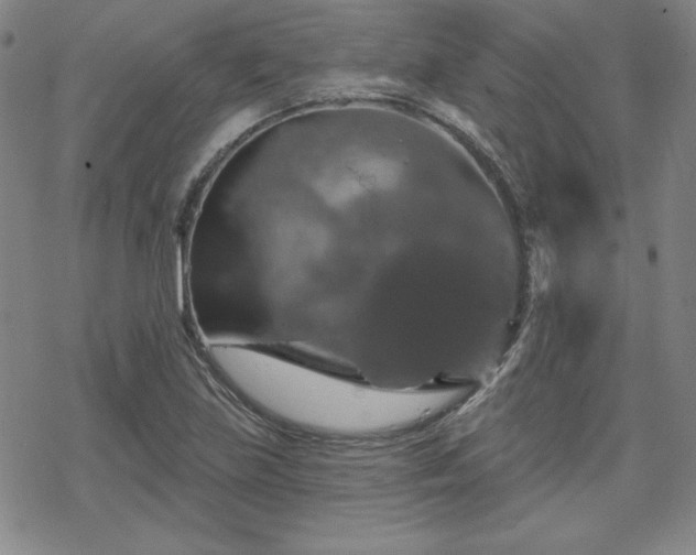 X0000070181219200606021024