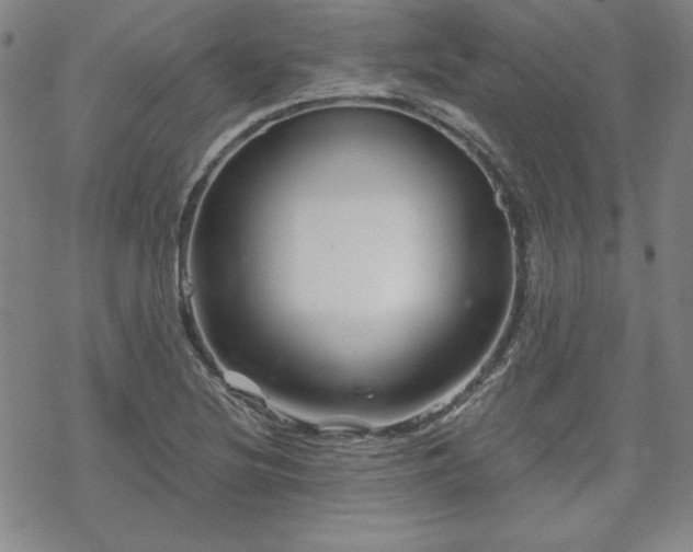 X0000070181220200606021024