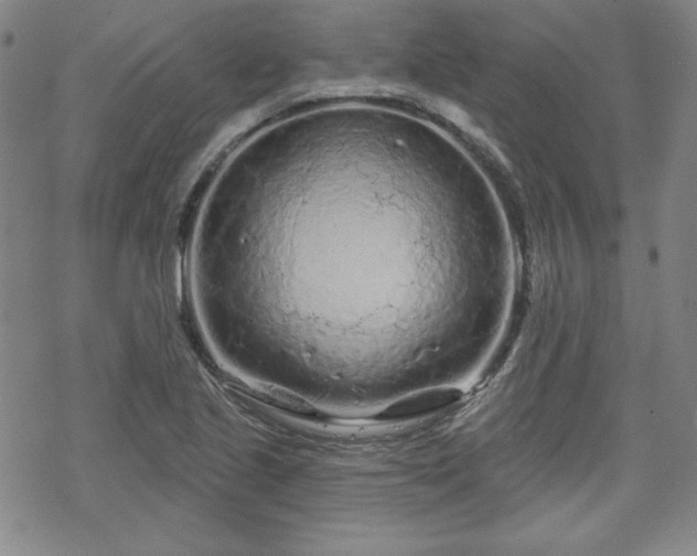 X0000070181221200606021024