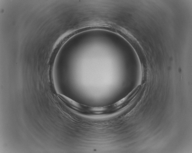 X0000070181222200606021024