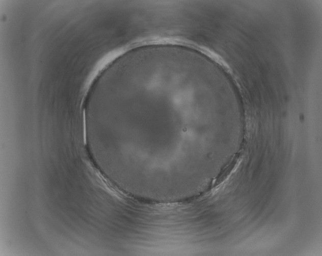 X0000070181223200606021024