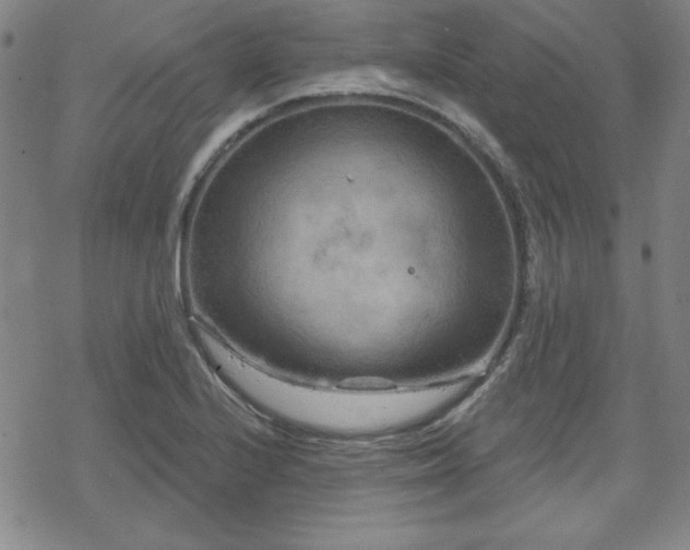 X0000070181224200606021024