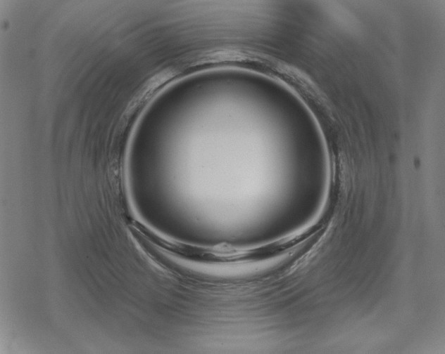 X0000070181225200606021024