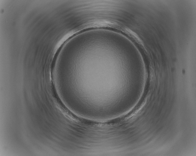 X0000070181226200606021024