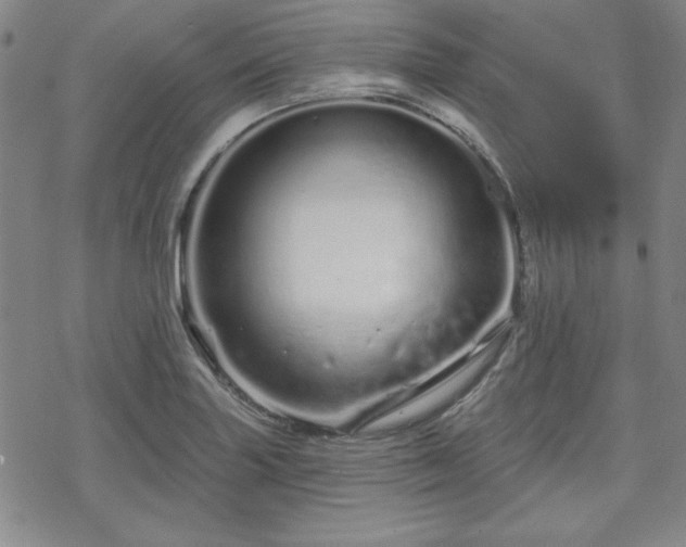 X0000070181227200606021024