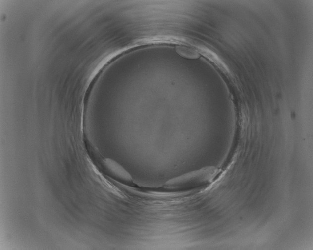 X0000070181228200606021024