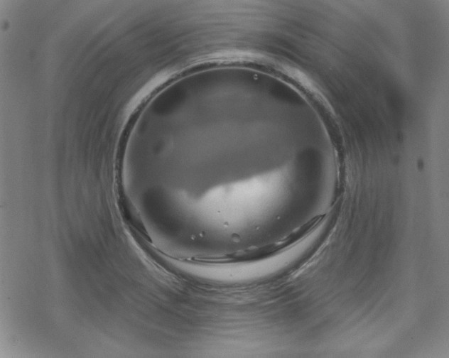 X0000070181229200606021024