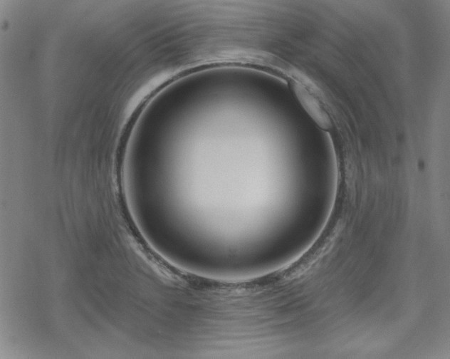 X0000070181230200606021024