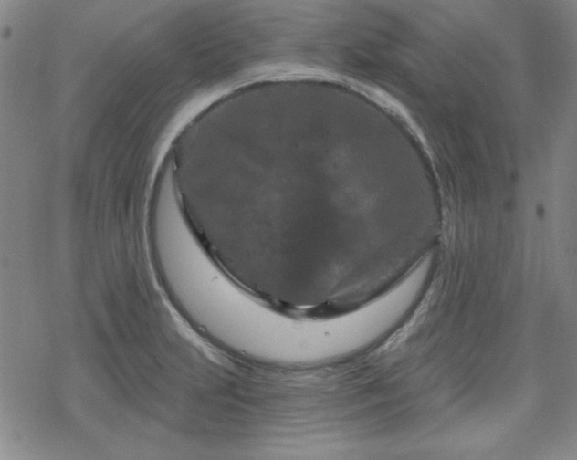 X0000070181231200606021024