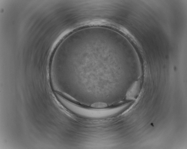 X0000070181232200606021024