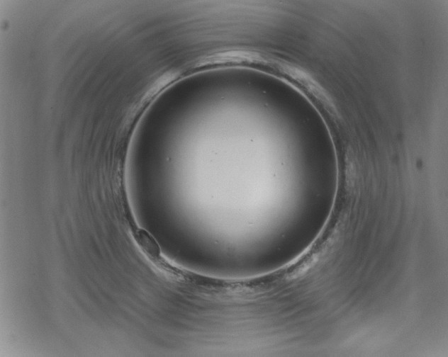 X0000070181233200606021024