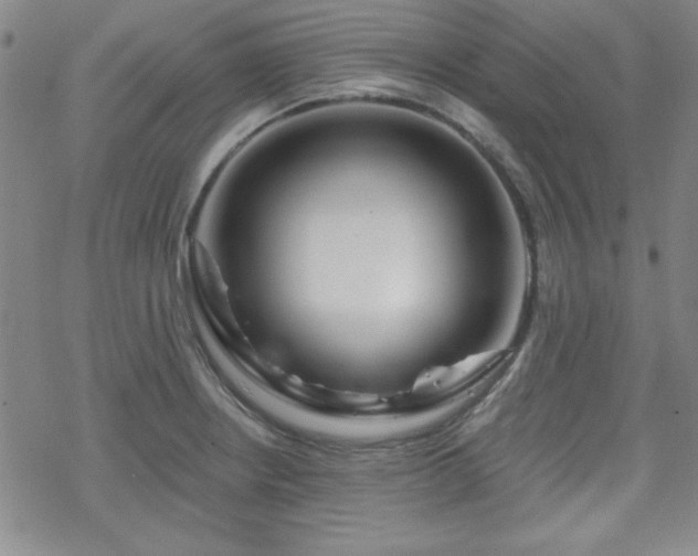 X0000070181234200606021024