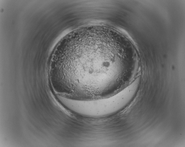 X0000070181235200606021024