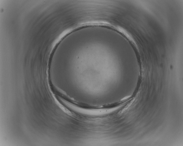 X0000070181237200606021024