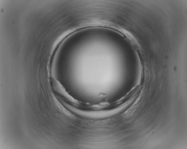 X0000070181238200606021024