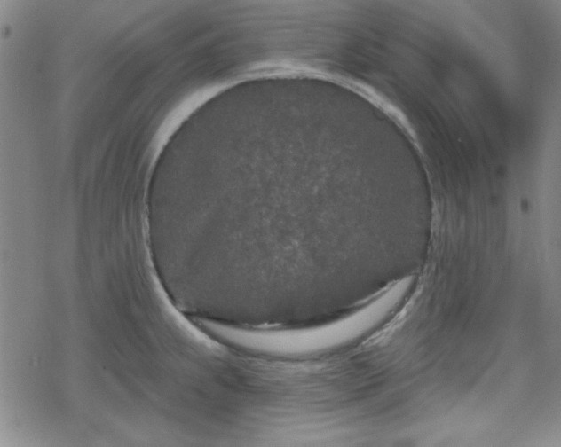 X0000070181239200606021024