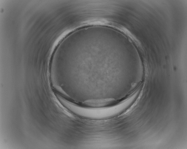 X0000070181240200606021024