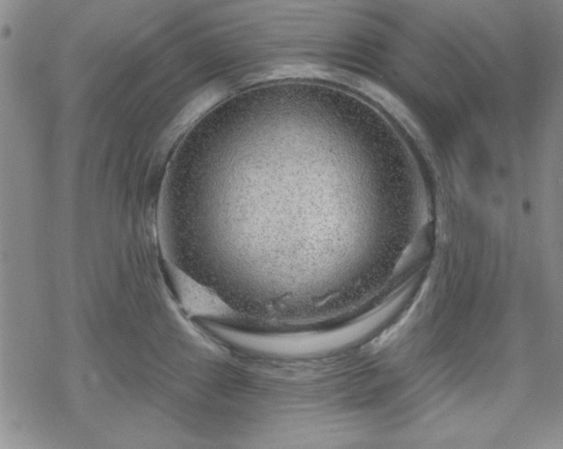 X0000070181241200606021024