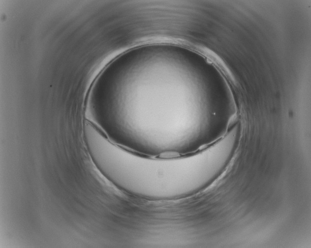 X0000070181244200606021024