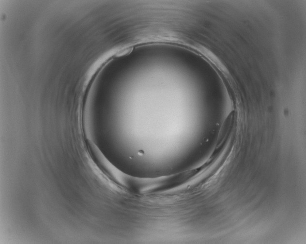 X0000070181246200606021024